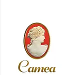 Camea 公寓式酒店 克拉科夫