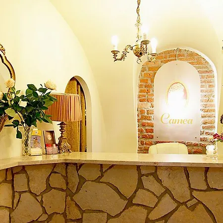 Camea